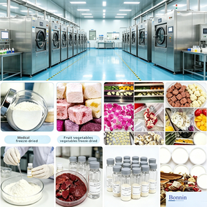 Laboratory Gland Type Top Press Type <b>Small</b> 1.03m Lab Lyophilizer Vacuum Freeze <b>Drying</b> <b>Machine</b> Food Processing Energy Saving - Product Image 6