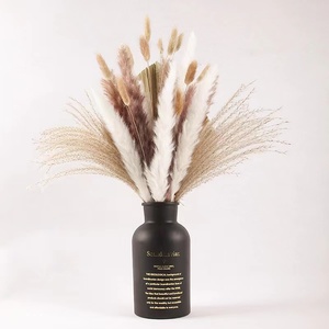 Herbe de la <span class=keywords><strong>Pampa</strong></span> Séchée en Gros pour Bouquets de Mariage, Fête des Pères, Remise de Diplôme - Imperméable, Longue Durée, Personnalisable - Product Image 4