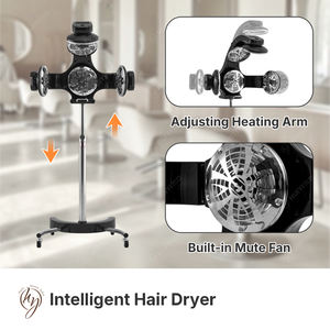 HD009 Équipement de salon de Offre Spéciale Sèche-cheveux vertical professionnel - Product Image 2