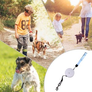 Pet <span class=keywords><strong>Chien</strong></span> Chat Rouleau Laisse <span class=keywords><strong>Mini</strong></span> Laisse Rétractable <span class=keywords><strong>Chien</strong></span> Laisse En Gros 3m Rétraction Automatique <span class=keywords><strong>Chien</strong></span> Petite Laisse avec Corde Réfléchissante - Product Image 6