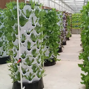 Aquaponics หอปลูกสับปะรดเรือนกระจกในฟาร์มปลูกพืชไร้ดินระบบสวนแนวตั้ง