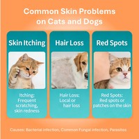 Complément Quotidien Confort Cutané pour Chats – Comprimés Oraux Anti-Démangeaisons à Absorption Rapide, Sans Céréales, Réduit les Comportements de Grattage, Nutritionnel