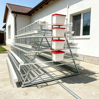 Cage à batterie de type A galvanisée à chaud, 4 niveaux, 4 portes, pour volailles pondeuses, système d'élevage de poulets, conception à longue durée de vie