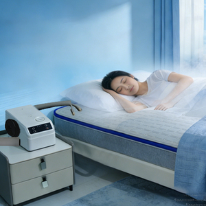 Housse de matelas intelligente avec coussin chauffant et rafraîchissant double, technologie semi-conductrice, système de refroidissement par circulation d'eau - Product Image 3