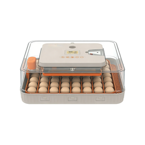 Incubateur automatique pour 30 œufs, contrôle numérique de la température et de <span class=keywords><strong>l</strong></span>'humidité, machine d'éclosion des œufs de volaille pour poulets, canards, cailles - Product Image 5