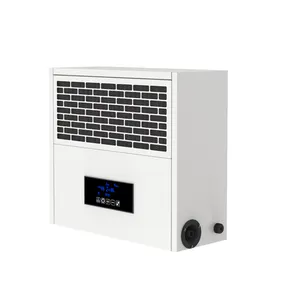 Wholesale Manufacturing Plant Efficient Purification And Filtration 1 Year Warranty Compact Design Dehumidifier For Greenhouse