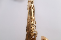 2026 Hot Sale Tenor Saxophone Good for Beginner and Student