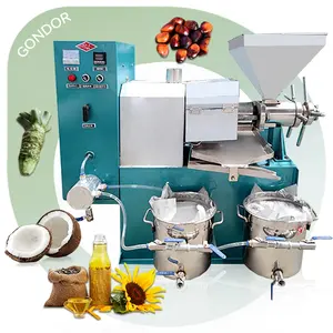 Coconut Palm Cold Press Hot-Selling Mini Oil Mill Process Machine Line Prices For Sale In Sri Lanka