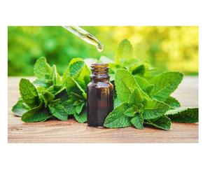 Aceite Esencial de Menta Verde para el Crecimiento del Cabello, Cuidado de la Piel y Masajes Corporales para Terapia de Spa, Relajación, Fortalecimiento del Cabello y Cuidado Diario - Product Image 1
