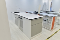 Table de laboratoire dentaire d'établi en acier d'équipement de laboratoire chimique d'école d'hôpital