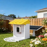 Mangeoire à oiseaux solaire intelligente OEM avec caméra WiFi, mangeoire à oiseaux d'extérieur pour jardin, observation des oiseaux dans la cour