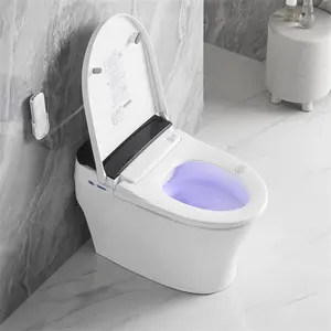 Ovs Noord-amerikaanse Cupc Intelligente Zelfreinigende Vrouwelijke Wc Zwart Bidet Waterdruk Passen Een Stuk Slimme Toiletten