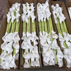 Jinxi - Flores Artificiales de Lirio de Agua de PVC, Ramas Individuales Blancas, Decoraciones para Bodas y Hogar - Product Image 1