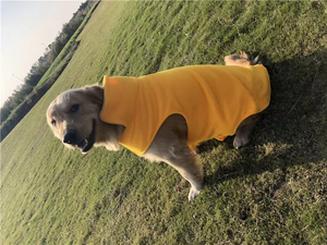 Vêtements pour animaux de compagnie pour chiens de petite, moyenne et grande taille, gilets d'hiver réversibles en polaire, design moderne pour le temps froid - Product Image 2