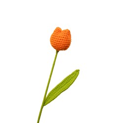 Tulipe orange