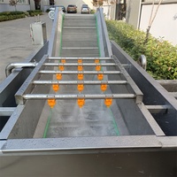Industriële wasmachine voor groenten, fruit en noten met motor & pomp, hoge efficiëntie bubbelwasser