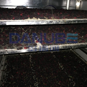 High Productivity Heat Pump Drying Oven Room Mulberry Fruit Dehydrator Machinery Fruit Drying Room - Product Image 1