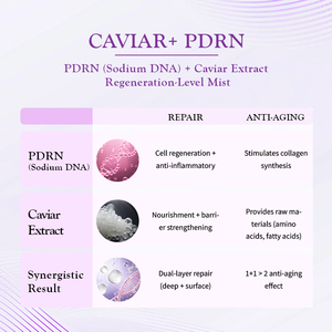 Brume Faciale Anti-Âge GZ au Caviar PDRN, Essence Fermentée à la Niacinamide, <span class=keywords><strong>Spray</strong></span> Gel Réparateur de Barrière Cutanée - Product Image 4