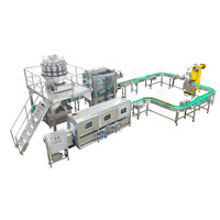 Geavanceerde multifunctionele verwerkingslijn voor perziken, abrikozen en pruimen met PLC-pompmotor voor het maken van sap, puree, jam en ingeblikt fruit.