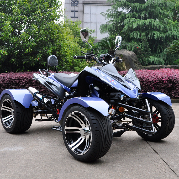 Новый 4 wheeler racing ATVs 250cc 500cc 4x1 quad moto atv прицеп для взрослых