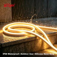 Nouveau néon LED flexible extérieur 6x12mm IP65 en silicone 12V/24V résistant aux UV et aux brumes salines, courant constant IC, garantie 5 ans