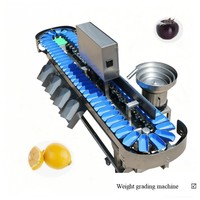 Automatische aardbeien- en citrus sorteermachine voor fruitverwerkingsbedrijven
