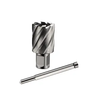 12-26毫米直径高速钢环形刀具钻头钻芯钻头，带通用柄