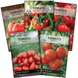 Sachet <span class=keywords><strong>de</strong></span> graines <span class=keywords><strong>de</strong></span> <span class=keywords><strong>tomates</strong></span> classiques non-OGM pour potager domestique, incluant la variété Cherokee Purple pour culture au sol - Product Image 1