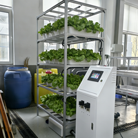 Système d'irrigation aéroponique automatique certifié Yinghui pour armoire intérieure, capacité de 120 plantes, garantie 1 an, avec rapport.