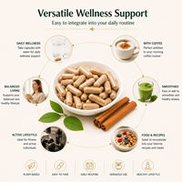 Astrawell – Fournisseur de capsules d'extrait d'écorce de cannelle de Ceylan de haute qualité – Complément alimentaire