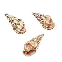 Pendentif Coquillage Naturel Comiya, Coquille d'Ormeau, Coquille Saint-Jacques à Bord Doré, pour Bijoux DIY, Bracelet, Carillon Éolien, Collier pour Femmes et Hommes