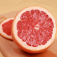 MD06 Thé en vrac naturel aux tranches de pamplemousse, thé aux fruits séchés, paquet de 1 kg