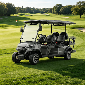 Voiturette de golf électrique en aluminium avec châssis stable, 5-6 places, pour le transport touristique dans les sites touristiques, les stations balnéaires et les communautés. - Product Image 6