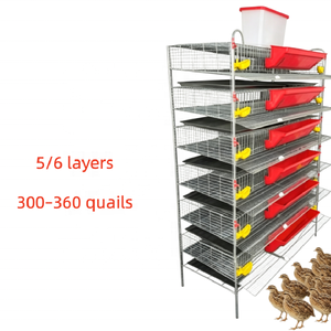 Nuova Area di Allevamento Compatta a 6 Livelli Tipo H per Quaglie, per una Produzione Efficiente di Carne e Uova, Dotata di Mangiatoie Integrate - Product Image 2