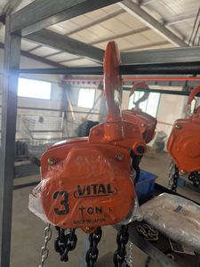Easy Use Japanese Type <strong>Hoist</strong> Hand <strong>Chain</strong> Block Vital VT Type 1T 1.5T 2T 3T 5T 10T Manual Portable <strong>Hoist</strong> Lifter - Product Image 4