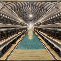 Équipement d'élevage avicole automatique commercial en gros, cage à poules pondeuses de type A et H avec matériau antirouille