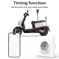 Prise murale intelligente Tuya WiFi, prise EU avec fonction de surveillance de la puissance et de minuterie, 110V 220V 16A, compatible avec Alice, Google Home, Alexa