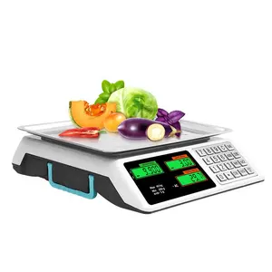 40kg Electronic Weighing Scale Digital Price Computing Scale For Retail Use