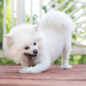 Agresif Chewers için yıkılmaz Wishbone köpek Pet çiğnemek oyuncaklar uzun ömürlü sert sıkıntı dayanıklı çiğneme oyuncaklar - Product Image 4