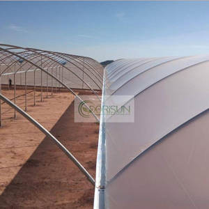 Pépinière commerciale <span class=keywords><strong>de</strong></span> semis <span class=keywords><strong>de</strong></span> feuilles <span class=keywords><strong>de</strong></span> PC à portée unique petites serres en film plastique pour plantes - Product Image 1