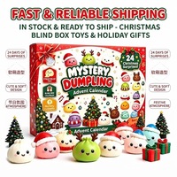Calendrier de l'Avent Boîte Mystère de Noël, Jouets en Caoutchouc Anti-Stress à Presser Style Boulette Vapeur, Coffret Cadeau 24 Pièces