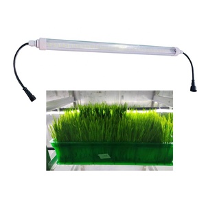 Tubo de luz de cultivo de plantas LED para sistema de hierba de trigo hidropónico - Product Image 1