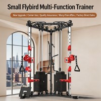 Triangle Flybird – Cage de musculation multifonctionnelle pour la maison, gain de place, entraîneur d'angle pour les bras et les abdominaux