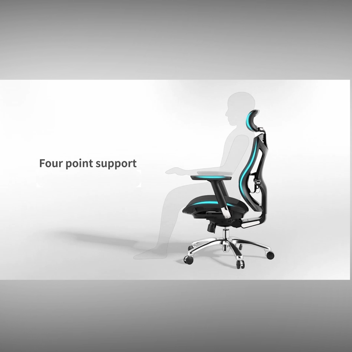 Sihoo V1 Ergonomic Office Chair Adjustable Comfortable