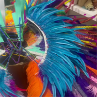 Costume de carnaval en plumes pour femme, tenue ornée de strass en cristal, grande coiffe dorsale, OEM 5XL, pour spectacle, défilé, danse Samba