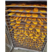Voedseldroger Groente- en fruitdroger Creatief ontwerp Fruit- en groentevoedseldroger voor kruisbes
