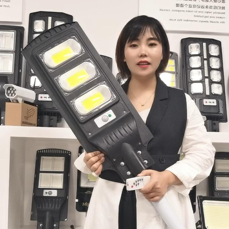 Exporter Hot Sales 1000W 300W 500W