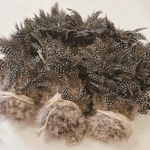 Venta al por mayor 3-5 "Natural Strung <span class=keywords><strong>Guinea</strong></span> Fowl plumas manchadas para atado de moscas pesca DIY manualidades decoraciones para el hogar - Product Image 6