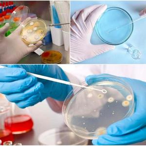 Matière plastique de puissance manuelle de plat de PETRI réutilisable certifiée par CE pour l'usage de laboratoire - Product Image 2