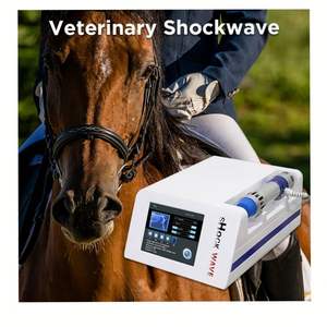 SY-WS03 पोर्टेबल विद्युत चुम्बकीय पशु चिकित्सा उपकरण विद्युत चुम्बकीय समकोइन शॉक वेव थेरेपी मशीन - Product Image 2